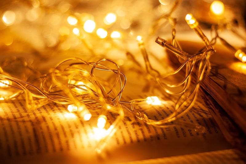 Whimsical Garden Fairy Lights