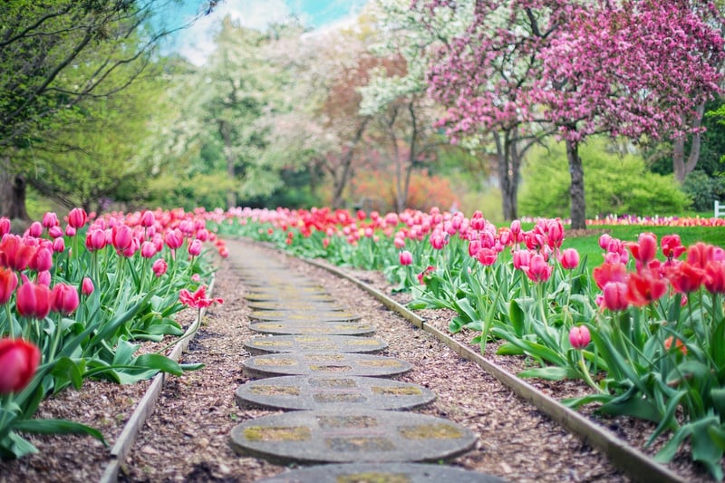 Whimsical Garden Pathway